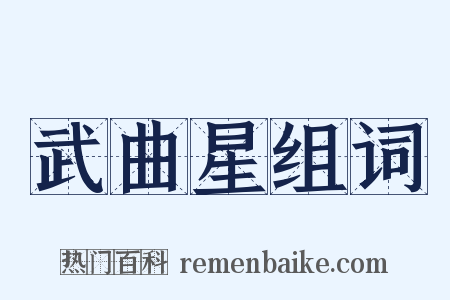 武曲星组词是什么意思的图片